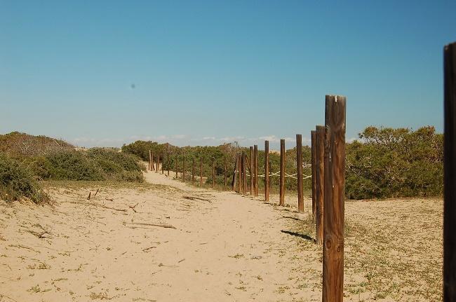Apartamento Pinada Beach- La Mata 라 마타 외부 사진